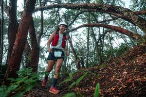 BIB: 
                            <button type="button" onclick="openModal(26344177)" class="btn btn-primary btn-sm float-right btn-popup" data-toggle="modal" data-target=".modal-high-quality">
                        <i class="fas fa-shopping-cart"></i> Add to Cart
                    </button>
                                            <button type="button" onclick="isThisMe(26344177, true)" class="btn btn-success btn-sm float-right btn-popup btn-isme hidden" data-toggle="tooltip" data-placement="bottom" title="นี่คือรูปของคุณใช่ไหม คลิกที่นี่เพื่อเอาเข้าอัลบั้ม">
                        <i class="fas fa-plus"></i> Add to album
                    </button>
                    <button type="button" onclick="isThisMe(26344177, false)" class="btn btn-warning btn-sm float-right btn-popup btn-isnotme hidden">
                        <i class="fas fa-ban"></i> Remove from album
                    </button>